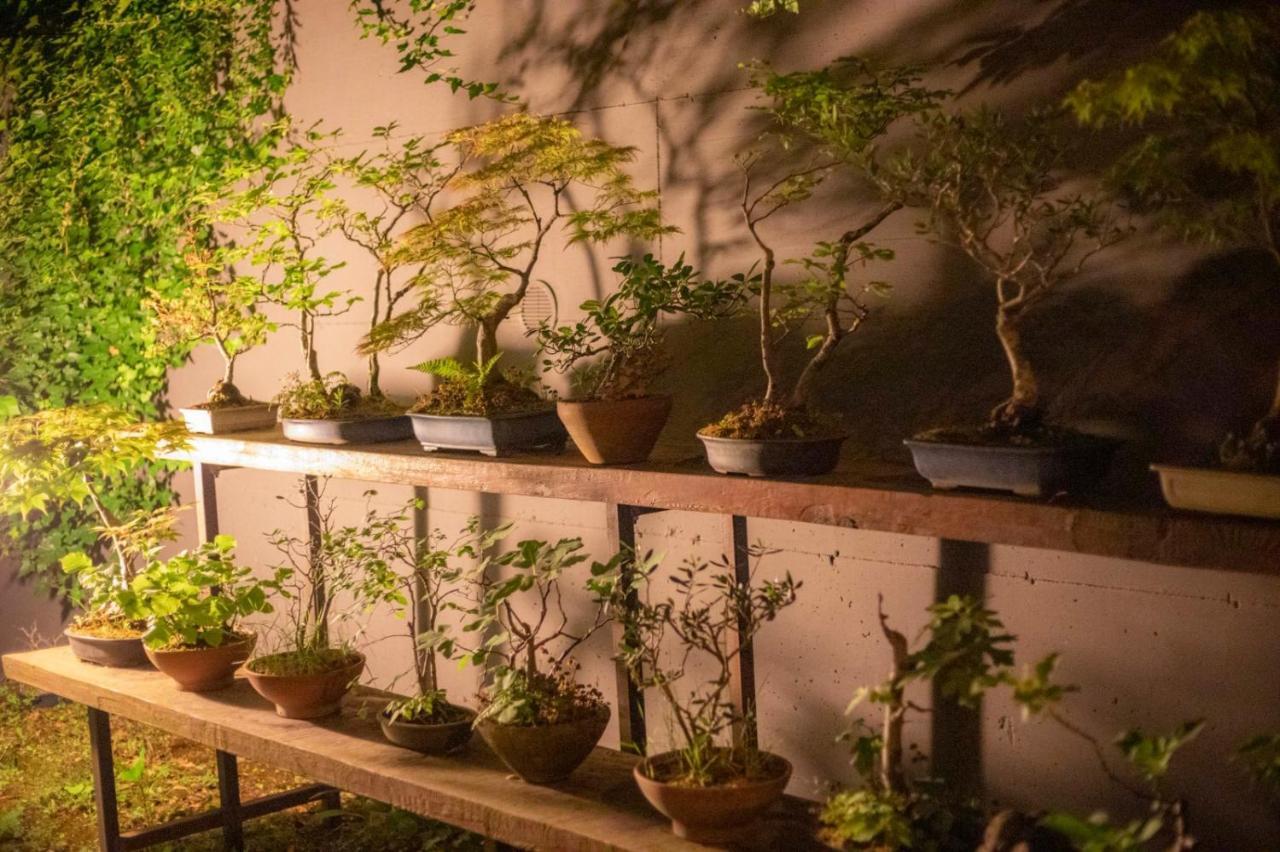 Il Giardino Segreto Apartment Carbognano Екстериор снимка