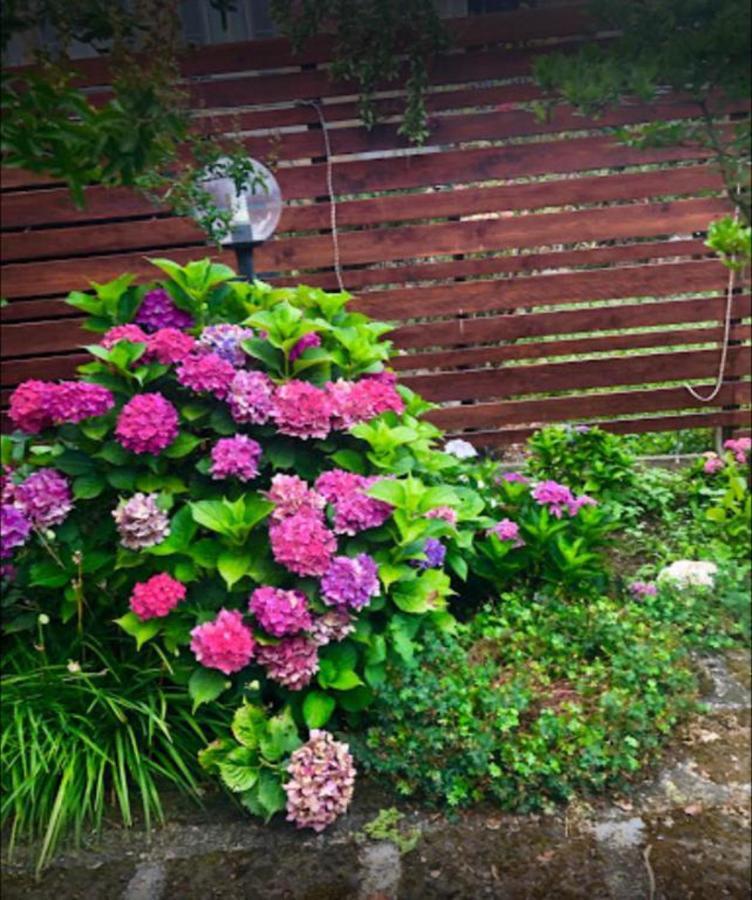 Il Giardino Segreto Apartment Carbognano Екстериор снимка