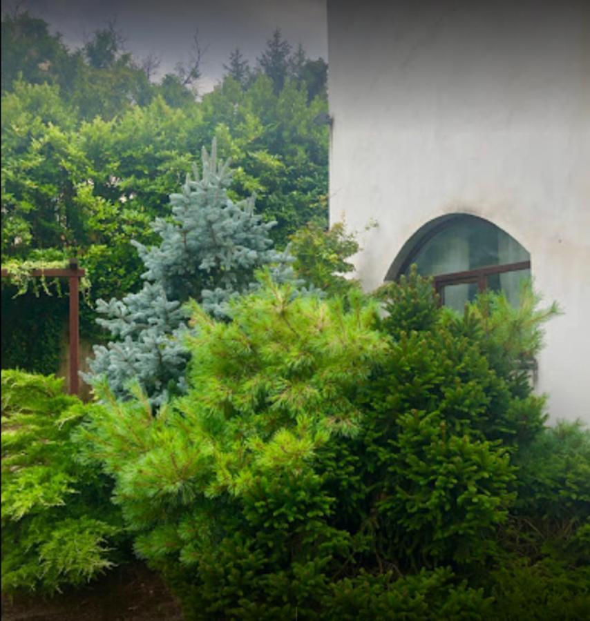 Il Giardino Segreto Apartment Carbognano Екстериор снимка